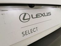Lexus UX Ibrida 2.0 Luxury 2wd cvt my20 Usata in provincia di Chieti - LEXUS CHIETI-PESCARA - PASQUARELLI AUTO - Via Po  127 b img-32