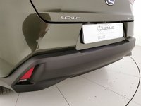 Lexus UX Ibrida 2.0 Premium 2wd cvt Usata in provincia di Chieti - LEXUS CHIETI-PESCARA - PASQUARELLI AUTO - Via Po  127 b img-31