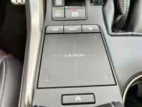 Lexus NX Ibrida Hybrid 4WD F-Sport Usata in provincia di Forli-Cesena - LEXUS CESENA - MORENO - Via Ravennate  1320 img-14