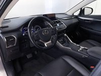 Lexus NX Ibrida 300 300 2.5 Hybrid Executive 4WD CVT Usata in provincia di Torino - LEXUS TORINO SUD - CENTRAL MOTORS - Corso Giambone  33 img-7