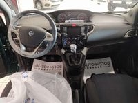 Lancia Ypsilon GPL 1.2 69 CV 5 porte GPL Ecochic Nuova in provincia di Torino - Autoingros Torino img-10