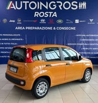 FIAT Panda Benzina 1.2 Easy 69cv s&s USATO GARANTITO PRONTA CONSEGNA Usata in provincia di Torino - Autoingros Rosta img-1