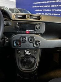 FIAT Panda Benzina 1.2 Easy s&s 69cv USATO GARANTITO Usata in provincia di Torino - Autoingros Rosta img-8