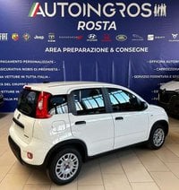 FIAT Panda Ibrida 1.0 hybrid s&s 70CV NUOVA DA IMMATRICOLARE Nuova in provincia di Torino - Autoingros Rosta img-1