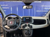FIAT Panda Benzina 4x40° 0.9 twinair 85cv NUOVA DA IMMATRICOLARE Nuova in provincia di Torino - Autoingros Rosta img-7
