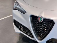 Alfa Romeo Stelvio Diesel 2.2 t Competizione Q4 210cv NUOVA DA IMMATRICOLARE Nuova in provincia di Torino - Autoingros Borgaro img-13
