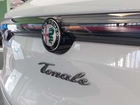 Alfa Romeo Tonale Diesel 1.6 Sprint 130cv tct6 Km 0 in provincia di Torino - Autoingros Borgaro img-11
