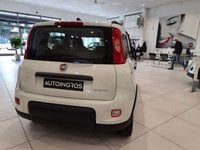 FIAT Panda Ibrida 1.0 FireFly Hybrid Nuova in provincia di Torino - Autoingros Pinerolo img-7
