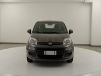 FIAT Panda Diesel 1.3 MJT 95 CV S&S Easy Usata in provincia di Avellino - G. Benevento-Finauto S.p.a. - Pratola Serra img-1