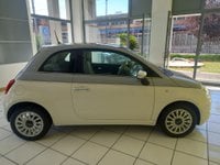 Auto Fiat 500 1.2 Collezione Usate A Salerno