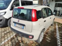 FIAT Panda Benzina 1.2 Easy Usata in provincia di Arezzo - Nuovauto S.p.a. img-2