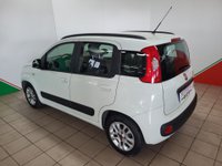 FIAT Panda Benzina/GPL 1.2 EasyPower Easy Usata in provincia di Arezzo - Nuovauto S.p.a. img-3