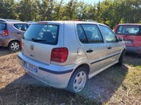 Volkswagen Polo Benzina Polo 1.4 cat 5 porte Comfortline Usata in provincia di Arezzo - Nuovauto S.p.a. img-1