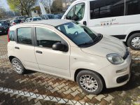 FIAT Panda Benzina 1.2 Easy Usata in provincia di Arezzo - Nuovauto S.p.a. img-1