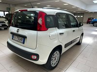 FIAT Panda Benzina/GPL 1.2 EasyPower Lounge Usata in provincia di Cuneo - Fuji Auto - Via Plinio il vecchio  1 img-3