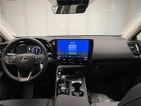 Lexus NX Ibrida 450h Plug-in 4WD Premium Nuova in provincia di Cuneo - Fuji Auto - Via Valle Maira 44  S.S. 22 img-10