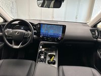 Lexus NX Ibrida 300 Plug-in 4WD Premium Usata in provincia di Cuneo - Fuji Auto - Via Valle Maira 44  S.S. 22 img-10