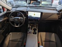 Lexus NX Ibrida 450h Plug-in 4WD Premium + Nuova in provincia di Cuneo - Fuji Auto - Via Plinio il vecchio  1 img-8