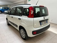 FIAT Panda Benzina/GPL 1.2 EasyPower Lounge Usata in provincia di Cuneo - Fuji Auto - Via Plinio il vecchio  1 img-5