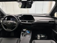 Lexus UX Ibrida 250h Hybrid 4WD Design Nuova in provincia di Cuneo - Fuji Auto - Via Valle Maira 44  S.S. 22 img-10