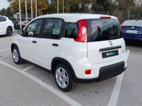 Auto Fiat Panda 1.0 Firefly S&S Hybrid Km Zero! Km0 A Ancona