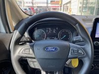 Auto Ford Ecosport 1.0 Ecoboost 125Cv Active S&S 1.0 Ecoboost 125Cv Active Usate A Parma
