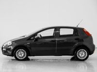 Auto Fiat Punto Punto 1.4 8V 5 Porte Easypower Lounge Usate A Prato