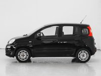Auto Fiat Panda 1.2 Easypower Easy Usate A Prato