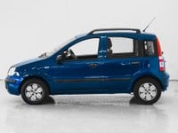 Auto Fiat Panda Panda 1.2 Dynamic Usate A Prato