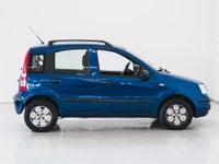 Auto Fiat Panda Panda 1.2 Dynamic Usate A Prato