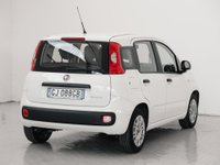 Auto Fiat Panda 1.0 Firefly S&S Hybrid Usate A Prato