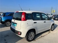 Auto Fiat Panda 3ª Serie 1.2 Easypower Easy Usate A Ravenna