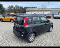 Auto Fiat Panda Nuova My23 1.2 69Cv Easypowergpl Panda Km0 A Lucca