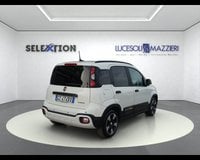 Auto Usate A Ancona | Fiat Panda Cross 1.0 Firefly S&S Hybrid