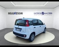 Auto Usate A Ancona | Fiat Pandina 1.0 Firefly 65 Cv Hybrid Icon