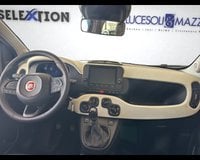 Auto Usate A Ancona | Fiat Panda Cross 1.0 Firefly S&S Hybrid