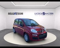 Auto Km0 A Ancona | Fiat Pandina My26 1.0 65Cv Hybrid Pop