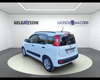 Auto Usate A Ancona | Fiat Panda 1.0 Firefly S&S Hybrid Easy