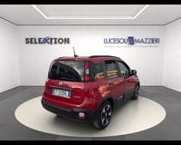 Auto Usate A Ancona | Fiat Panda Cross 1.0 Firefly S&S Hybrid