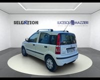 Auto Usate A Ancona | Fiat Panda 1.2 Mylife