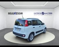 Auto Usate A Ancona | Fiat Panda 1.0 Firefly S&S Hybrid Easy