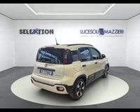 Auto Usate A Ancona | Fiat Panda 1.0 Firefly S&S Hybrid City Cross