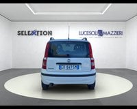 Auto Usate A Ancona | Fiat Panda 1.2 Mylife