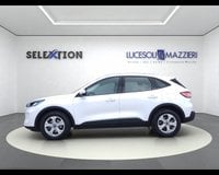 Auto Usate A Ancona | Ford Kuga 3ª Serie 1.5 Ecoblue 120 Cv 2Wd Connect