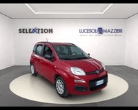 Auto Usate A Ancona | Fiat Panda 1.2 Easy