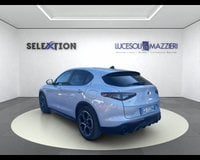 Auto Usate A Ancona | Alfa Romeo Stelvio 2.2 Turbodiesel 210 Cv At8 Q4 Veloce