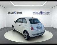 Auto Usate A Ancona | Fiat 500 (2007-2016) 1.2 Lounge
