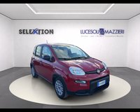 Auto Km0 A Ancona | Fiat Panda My24 1.0 70Cv Hybrid Panda