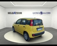 Auto Usate A Ancona | Fiat Pandina 1.0 Firefly 65 Cv Hybrid Pop