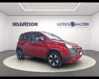 Auto Usate A Ancona | Fiat Panda 1.0 Firefly S&S Hybrid City Cross